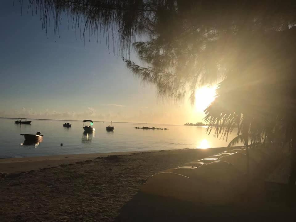 Beach De Reve De Moorea Hauru Eksteriør billede