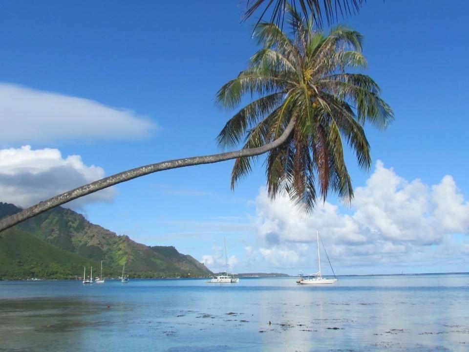 Beach De Reve De Moorea Hauru Eksteriør billede