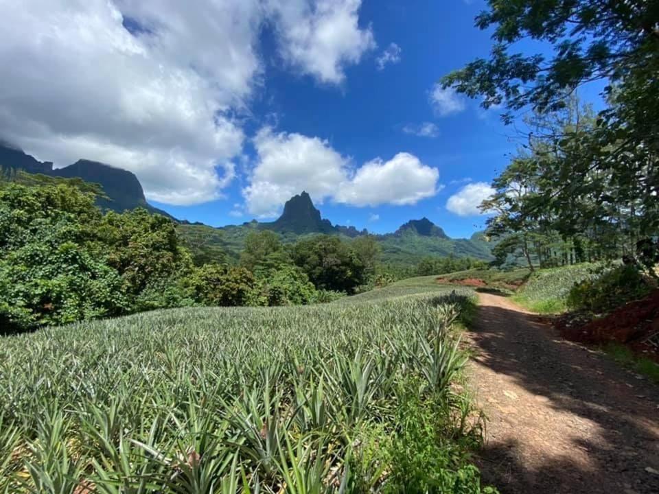 Beach De Reve De Moorea Hauru Eksteriør billede