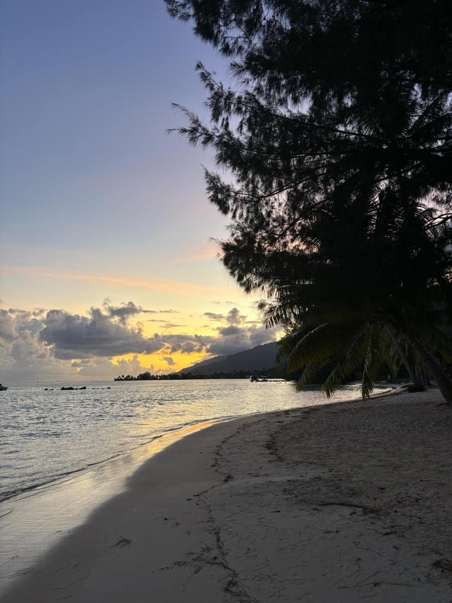Beach De Reve De Moorea Hauru Eksteriør billede