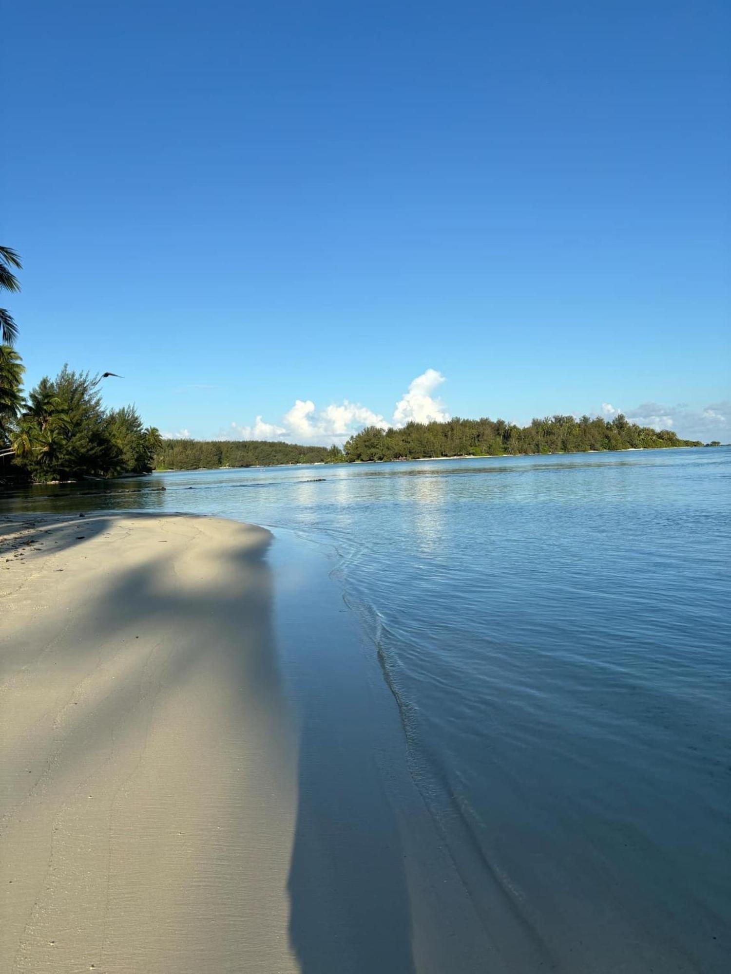 Beach De Reve De Moorea Hauru Eksteriør billede